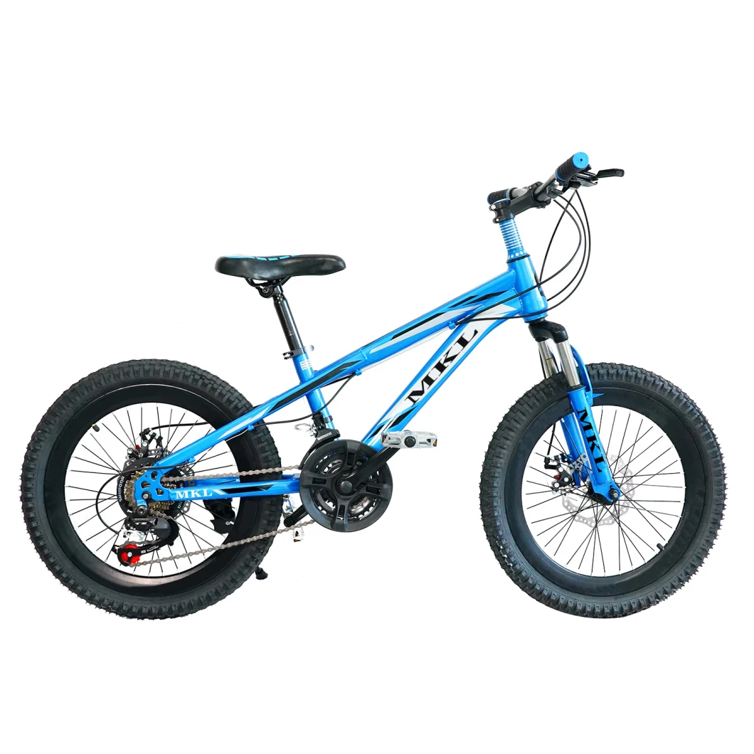 20′ ′ -26′ ′ Cheap and Competitive Price MTB Mountain Bike for Children and Adults