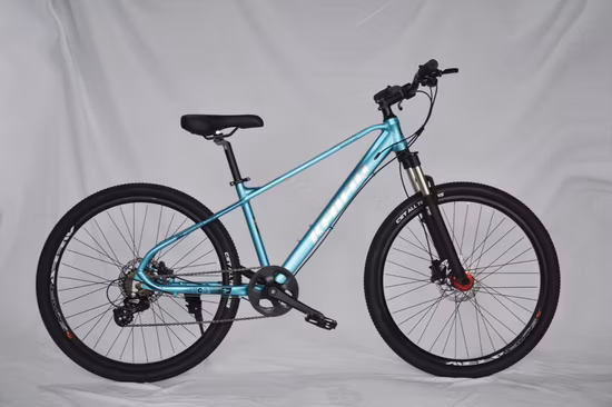 20′ ′ -26′ ′ Precio competitivo y barato MTB Mountain Bike para niños y adultos